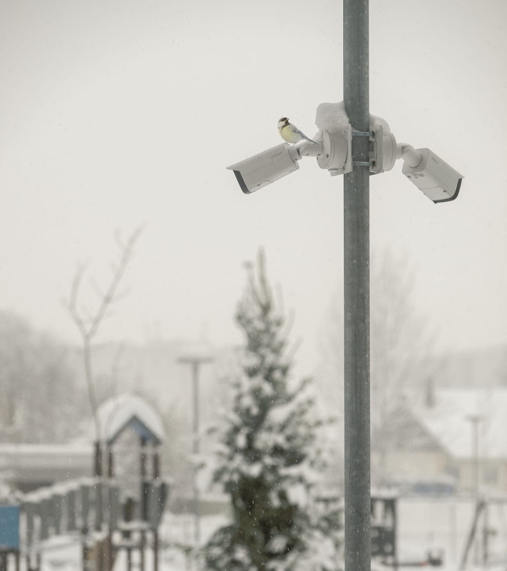 image image (94).jpg